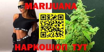 индика Будённовск