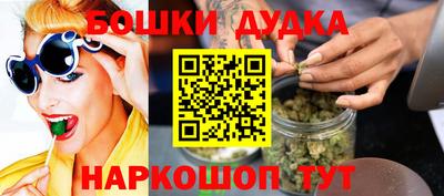индика Будённовск